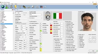 Tutorial - How to use Team Editor Manager