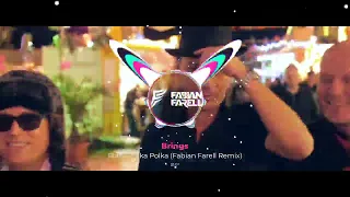 Brings - Polka Polka Polka (Fabian Farell Remix)