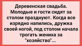 Дружка Трогала Жениха Ногой под Столом! Сборник Свежих Смешных Жизненных Анекдотов!