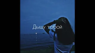 👍Дышу тобой (Андрей Леницкий)