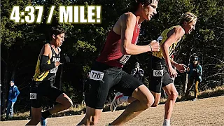 The 2022 NCAA Cross Country Championships || Nico Young VS. Charles Hicks