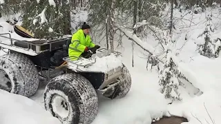 Отвод и таксация лесосек.Ип Ильиных.