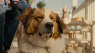 A Dog's Journey (2019) "The Spirit of a Dog's Journey" Featurette