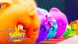 conjunto pronto vai! | As Aventuras de Sunny Bunnies | Desenhos Animados Infantis