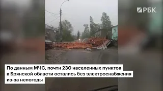 🌪 Курская и Брянская области в плену сильного урагана