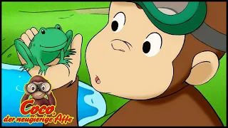 Coco der Neugierige 🐵110 Kaulquappen Überraschung 🐵 Ganze Folgen 🐵 Cartoons für Kinder🐵Staffel 1