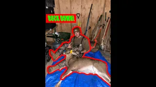 Public land buck down in New York! (WATCH!)