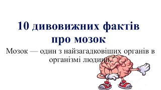 10 дивовижних фактів про мозок