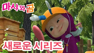 마샤와 곰 💥 새로운 시리즈 🐻👱‍♀️ 마법의 모자 🧢👒 만화영화 모음집 👱‍♀️ Masha and the Bear