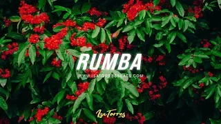 [FREE] J Balvin Latino Type Beat 2019 - "Rumba" | Type Beat | Trap Instrumental 2019 | Isa Torres