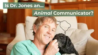 Animal Communication for Beginners: 10 Step Plan