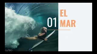 MÓDULO 1 / Aprende a conocer el mar y las bases del SURF 🧠🌊