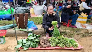 FULL VIDEO: 125 Day Harvest Ginger & Grinding Tuber, Doi Nut Leaves Goes to the market to sell