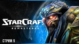 Око бури | StarCraft: Remastered | Стрим #5