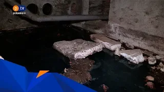 На Садах-1 вже понад вісім років тече каналізація у підвалі