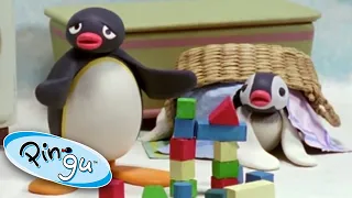 Crazy Day at Pingu's House! | Pingu Official | Cartoons for Kids