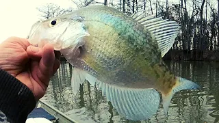 Late January Crappie fishing tips with jigs and bobbers