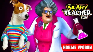 Злая Училка, что-то нахимичила 🔴 НОВЫЕ ПРАНКИ 🔴 Scary Teacher 3d