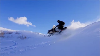 Vintage Sleds in the Wellsvilles