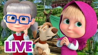 🔴 LIVE STREAM 🎬 Masha and the Bear 👀 Watch Out For Masha 👧🌪️