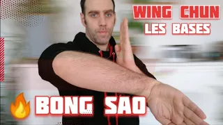 BONG SAO - how to recycle energy with it - WING CHUN DAO in FRANCE