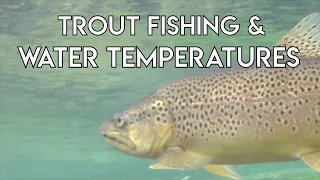 Trout Fishing & Water Temperatures | Tom Rosenbauer