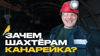 Всё, что вы не знали о шахтёрах. Зарплата, опасности и "плюшки" профессии.