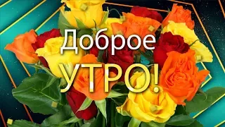 ✅Доброе утро! Эти прекрасные розы для тебя!✅Анимационная открытка 4К