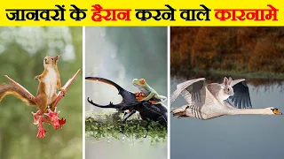 जानवरों के ये कारनामें देखकर आप दंग रह जाएंगे | Most Amazing Moments of Animals Caught on Camera