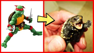 Meet Teenage Mutant Ninja Turtles IN REAL LIFE 2024 🐢 👍🏻 @botobototv