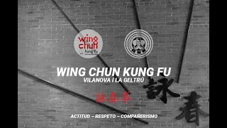 COMO APRENDER WING CHUN paso a paso en español 🐊⬅️ SIU NIM TAO primera forma del Sistema Wing Chun ✅