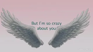 Angel in the Night by Basshunter (Lyrics)