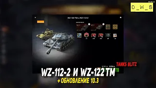 WZ-112-2 и WZ-122 TM, обсуждаем обновление 10.3 в Tanks Blitz | D_W_S
