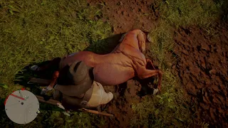 Rdr2 horse falls from sky!