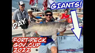 🛸 Livescoping GIANT Fort Peck Walleye in a 201 boat tournament! Gov Cup 2022 (day 1 of 2)