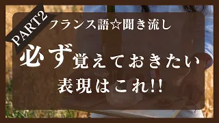 【フランス語★聞き流し】必ず覚えておきたい"AVOIR動詞の表現&使い方"