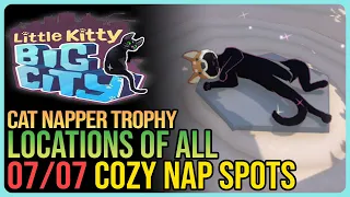 All Cozy Nap Spots – Little Kitty Big City