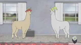 Lamas mit Hüten 6 (Llamas with hats 6, German/Deutsch)