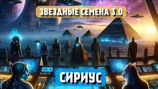 3.0 ЗВЕЗДНЫЕ СЕМЕНА СИРИУС. ТАРОТЕРАПИЯ НА ВСЕ АСПЕКТЫ + ПОСЛАНИЯ СИРИУС ⚛️