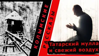 Варлам Шаламов. Колымские рассказы.  Татарский мулла и свежий воздух