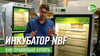 Где купить инкубатор NBF