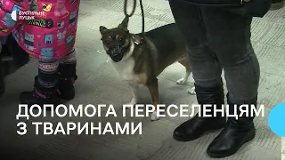 В Луцькому центрі допомоги переселенцям з тваринами влаштували день відкритих дверей