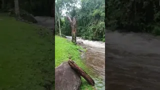 Para quem nunca viu uma Cabeça d'agua