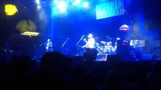 Buffalo Springfield - Keep Rockin In The Free World [Live @ Bonnaroo 2011]