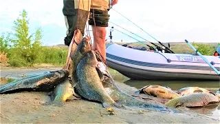 Incredible ZHOR AND CRUSHING BITES!!!! Fishing for large wild carp