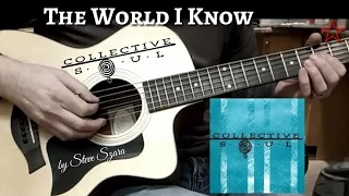 The World I Know  Collective soul cover