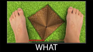 Minecraft wait what meme part 258 realistic minecraft Steve