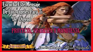 MENSAJE de los ÁNGELES PARA TI DIGEON💌AZRAEL💗POYECTA, VISUALIZA y MANIFIESTA🔴enseñanzas VERTI🔴