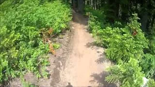 Stevens Pass Bike Park - Lichen It