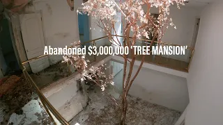 Exploring the abandoned $3,000,000 "Tree Mansion"!!  :  Discovering Decay